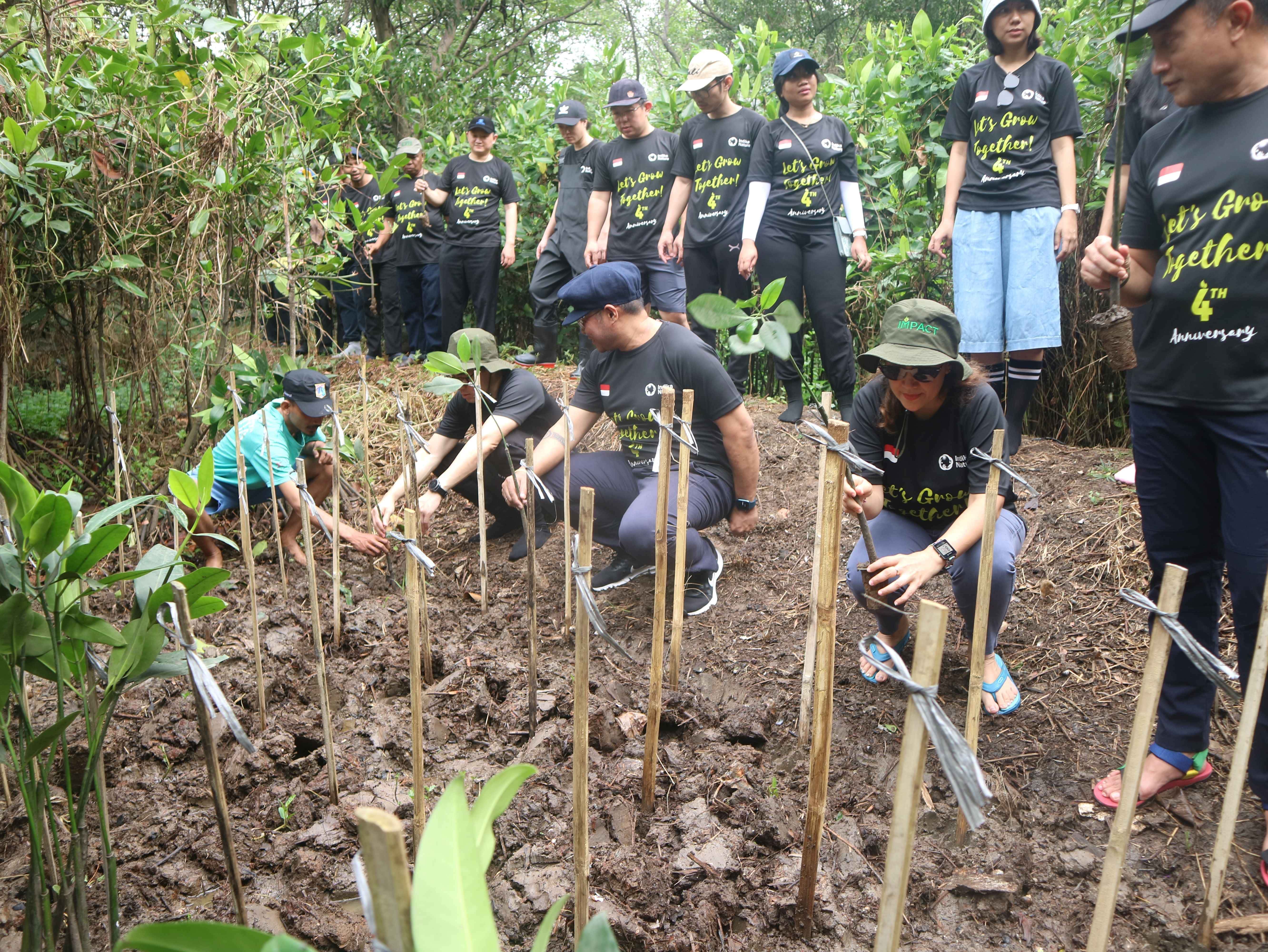 Mangrove Exploration, Preventing the Climate Crisis