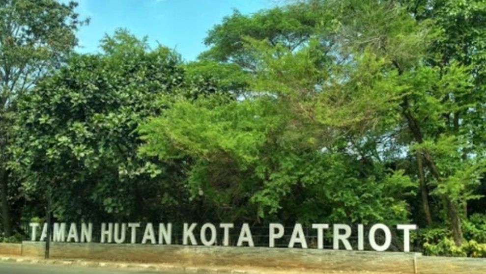 Clean up Hutan kota patriot