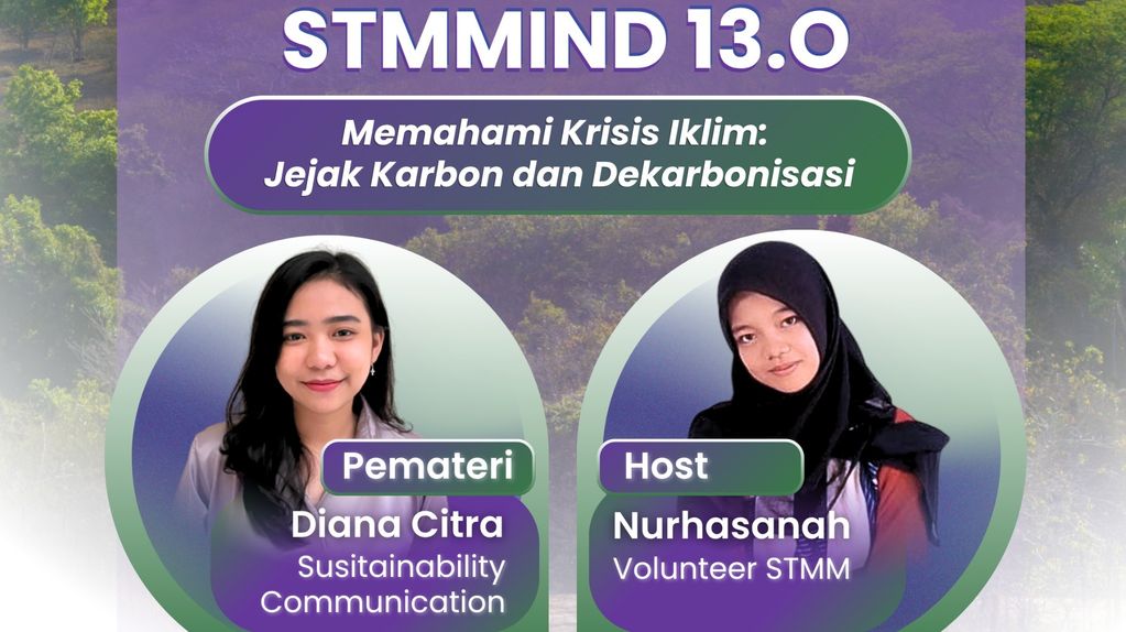 STMMind 13