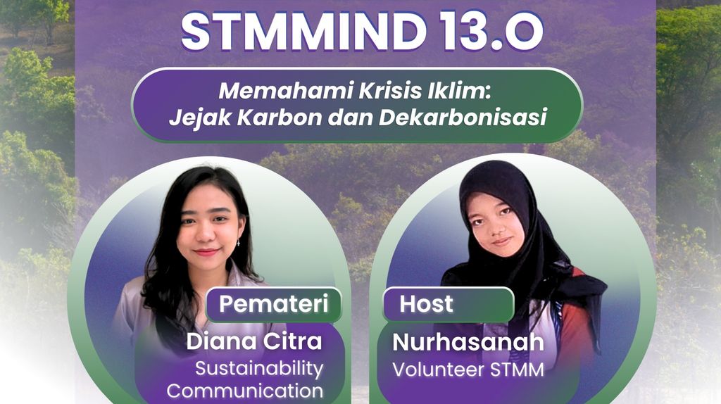 STMMind 13