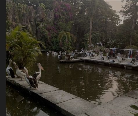 Galeri aktivitas Clean Trip Ragunan ke-5